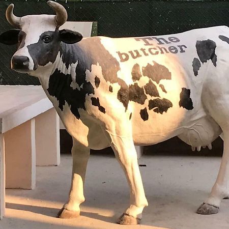 Apartamento The Butcher-Ducati And Airport Blq Bolonia Exterior foto